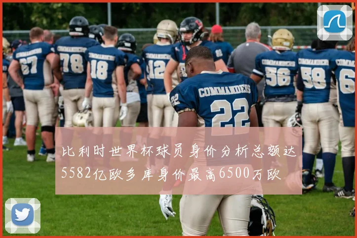 比利时世界杯球员身价分析总额达5582亿欧多库身价最高6500万欧
