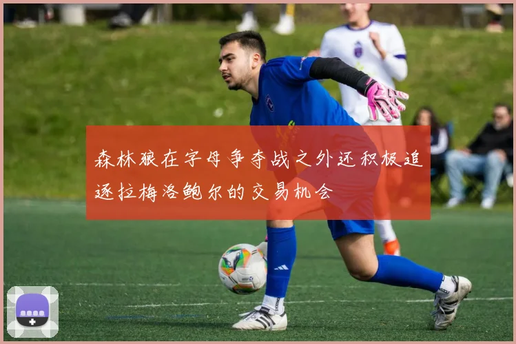 森林狼在字母争夺战之外还积极追逐拉梅洛鲍尔的交易机会